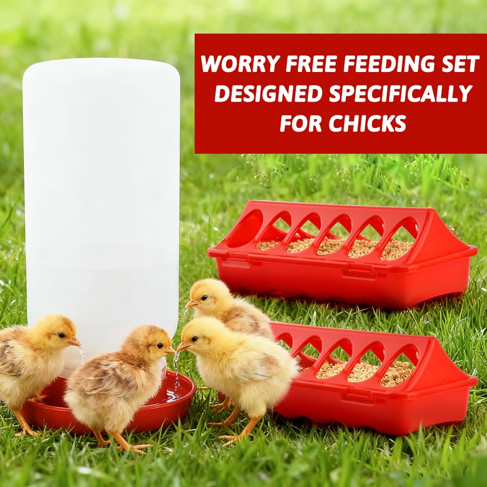 Axrivonte easy-clean brooder design keeps the setup tidy