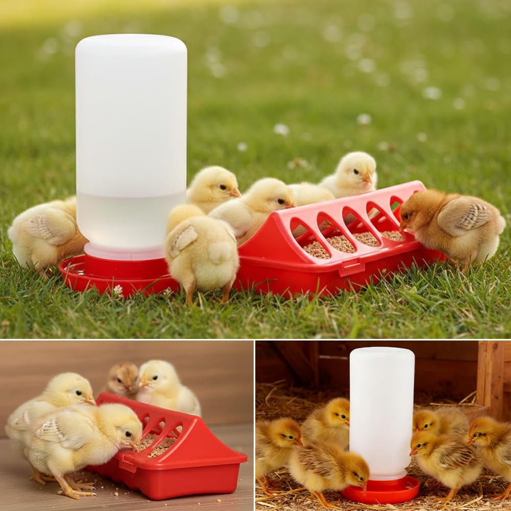Axrivonte small-poultry kit suitable for chicks and ducklings in brooders