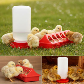 Axrivonte small-poultry kit suitable for chicks and ducklings in brooders