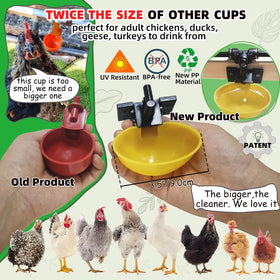 Ayakol quick-connect water system with large cups supports easier flock drinking