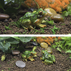 Aynaxcol outdoor frog statue brightens garden corners with lively character