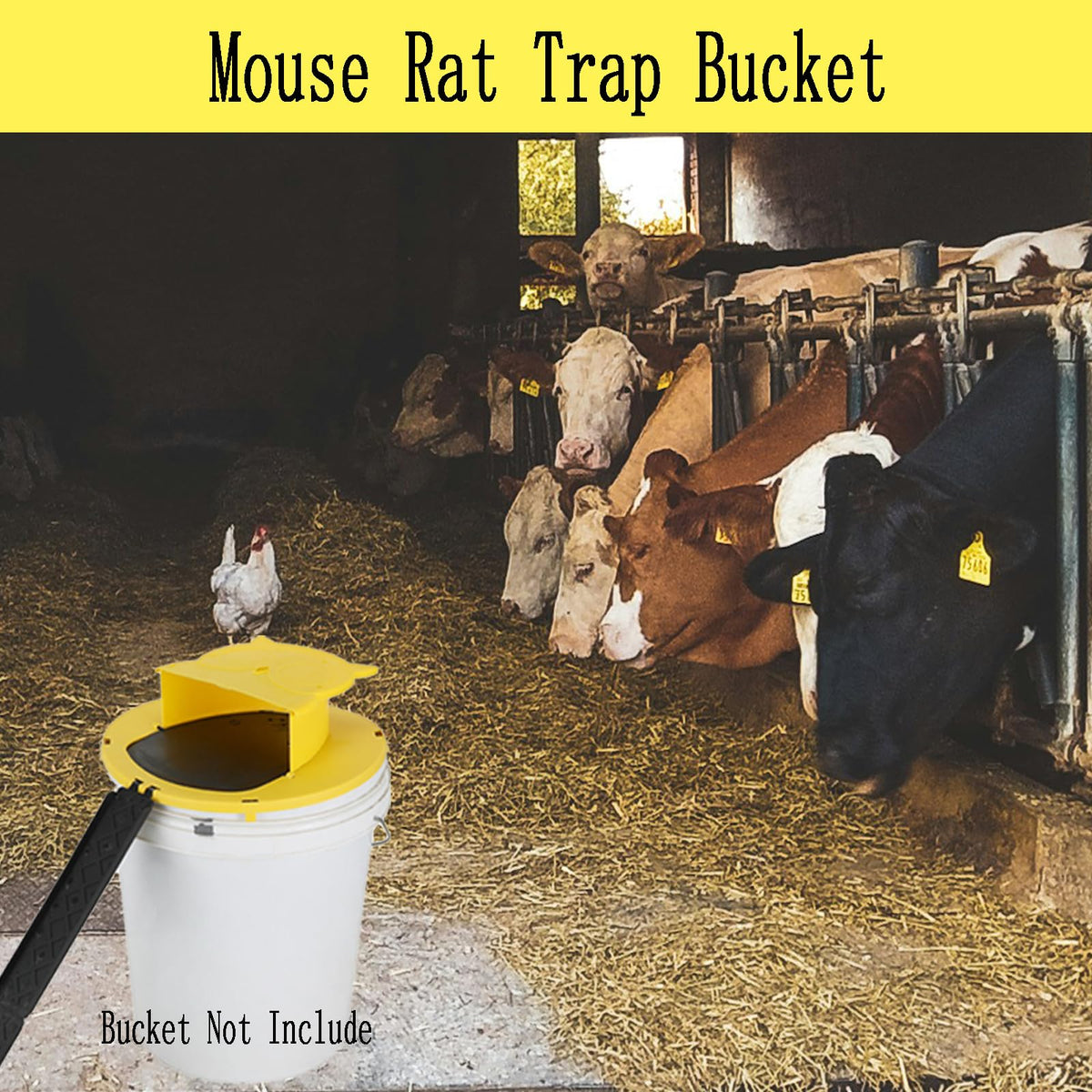 AYOYA bucket lid trap for indoor outdoor use in kitchen and living areas