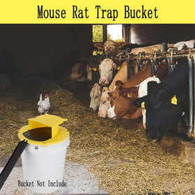 AYOYA bucket lid trap for indoor outdoor use in kitchen and living areas