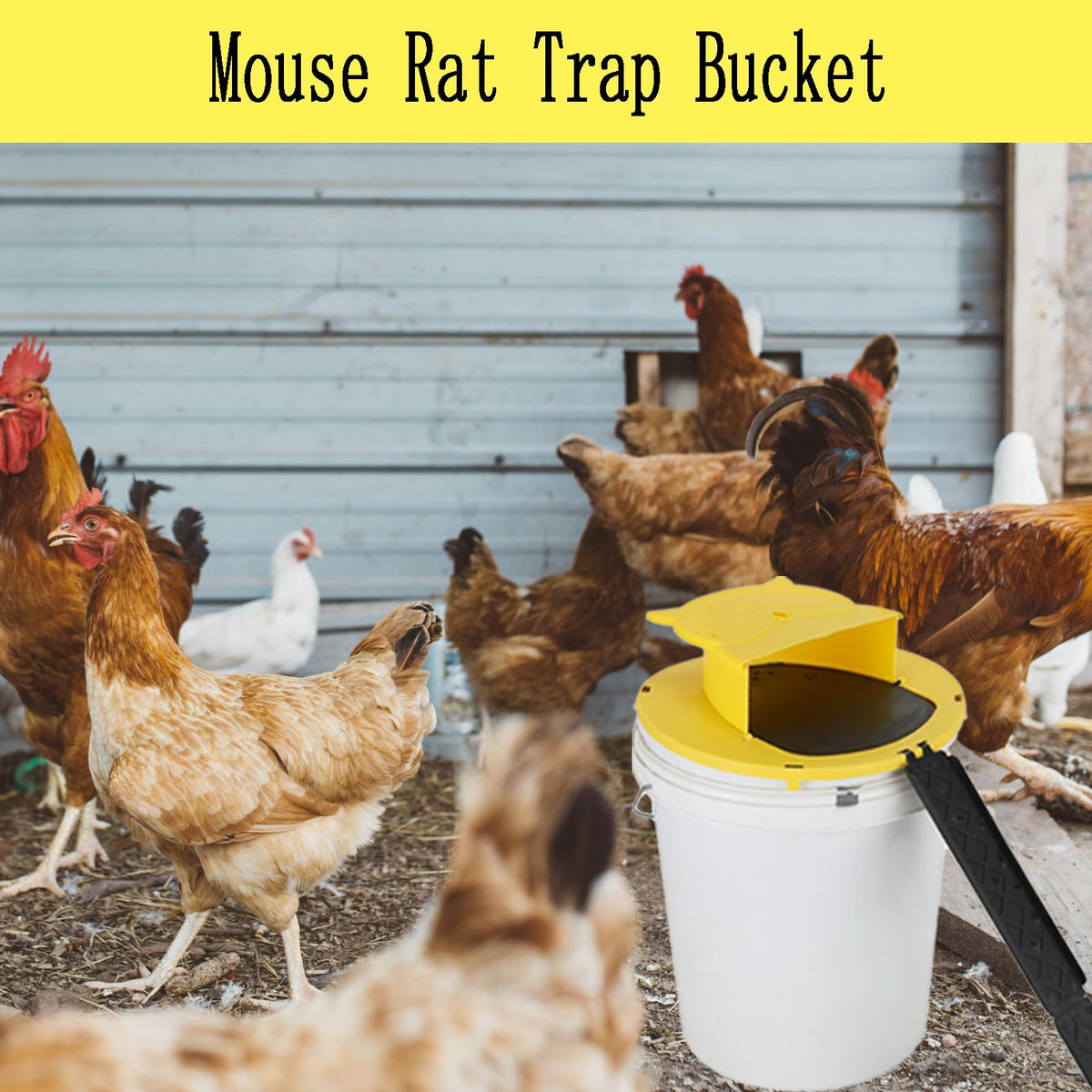 AYOYA five gallon compatible trap for easy setup