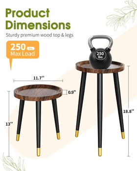 AZADESJET dual-height stand highlights layered plant arrangements for stylish corners