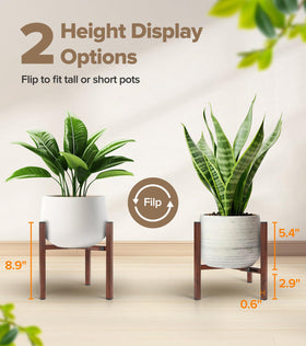 AZADESJET plant stand shows two heights for better sunlight and display depth.
