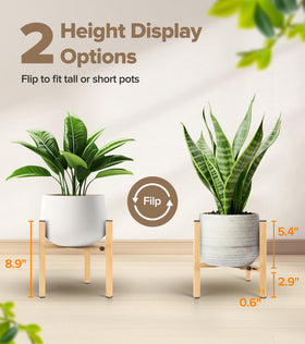 AZADESJET plant stand offers two heights for better sunlight exposure