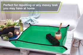 Azureblue plant gift mat supports tidy indoor gardening.