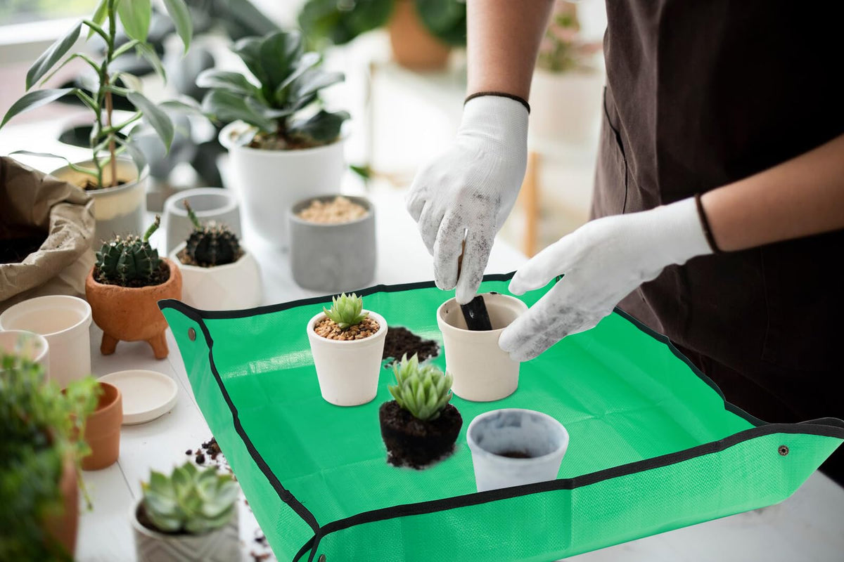 Azureblue indoor gardening mat ideal for seedlings and repots.