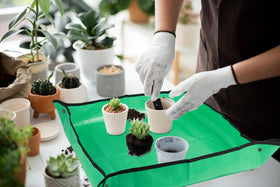 Azureblue indoor gardening mat ideal for seedlings and repots.