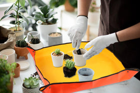 Azureblue orange potting tray used for multi-use garden tasks.