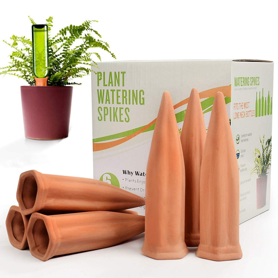B SEPOR ceramic plant waterer spike in soil for steady hydration.