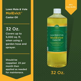 Different Baar MolEvict container sizes for yard planning.