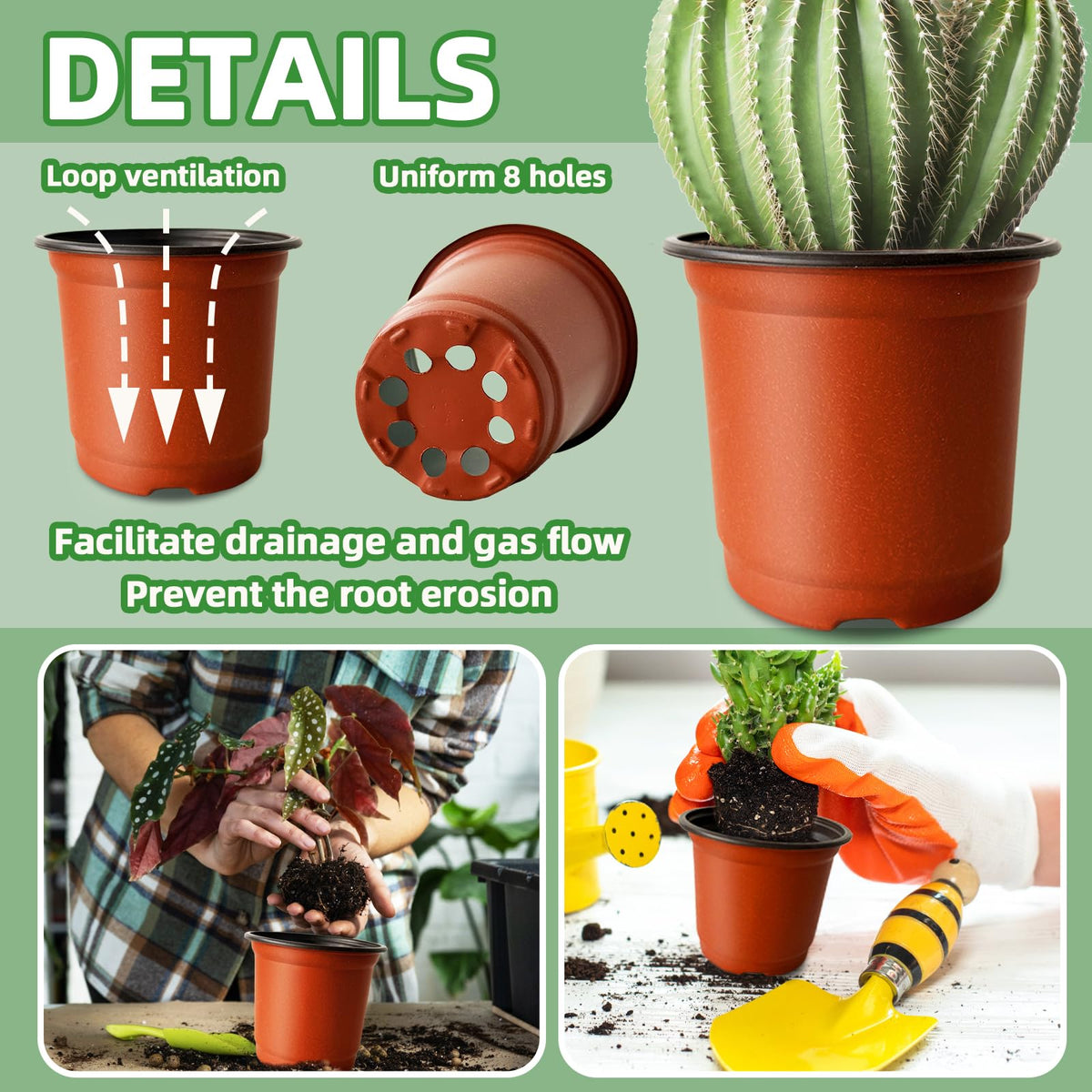 Baaxxango 200 piece pack ideal for multiple seedling projects
