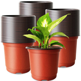 Baaxxango 4-inch nursery pot showing drainage holes for healthy seedlings