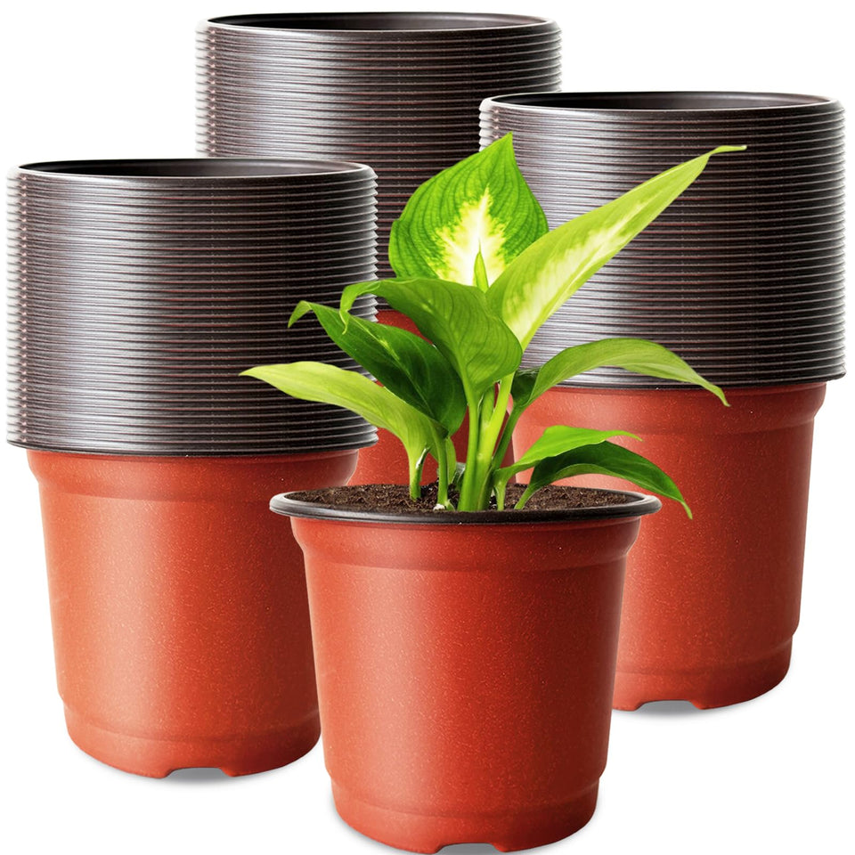 Baaxxango 4-inch nursery pot showing drainage holes for healthy seedlings