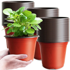 Baaxxango 6-inch pot top view with drainage holes for seedlings.