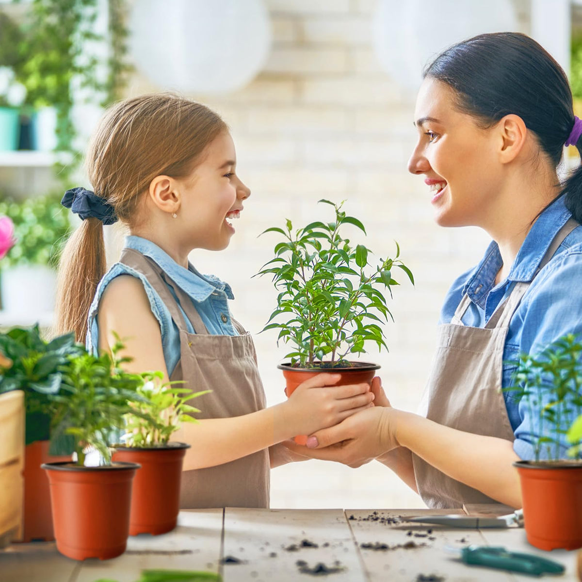 Baaxxango gifting option for gardening lovers
