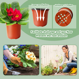 Baaxxango pots suitable for indoor and outdoor plant projects.