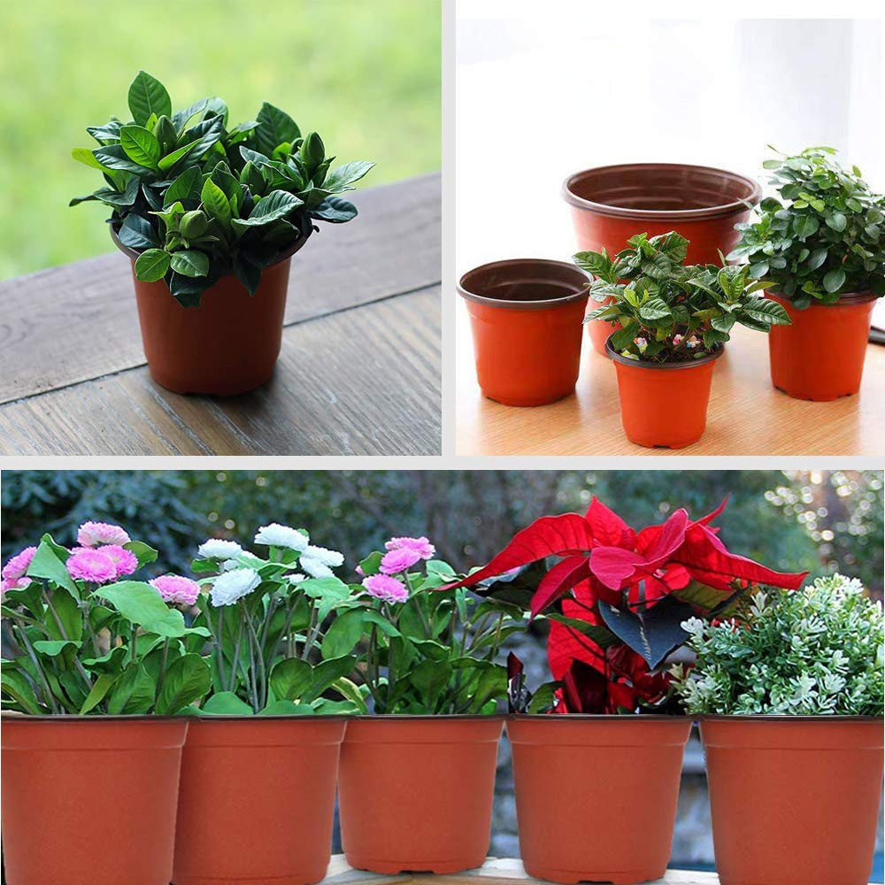 Baaxxango reusable nursery pots suitable for succulent propagation and reuse
