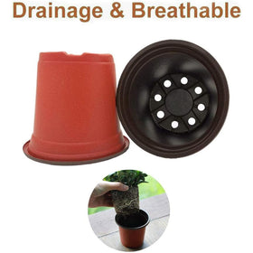 Baaxxango seedling pots showing 12 drainage holes for improved water management