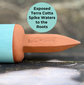 Convenient auto-watering for vacations and busy weeks.