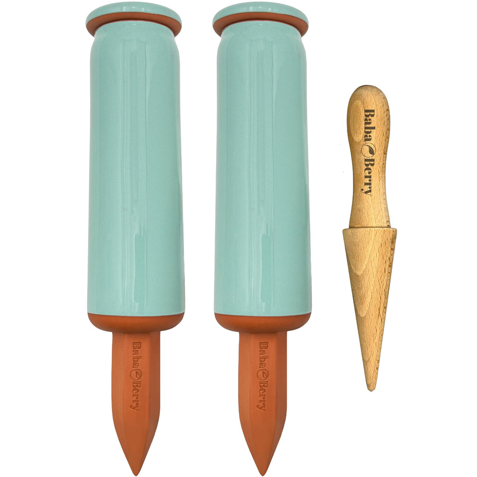 BabaBerry terra-cotta spikes with 17.5oz reservoir deliver steady moisture to indoor plants.