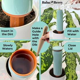 Root dibber included for precise placement and even water flow.