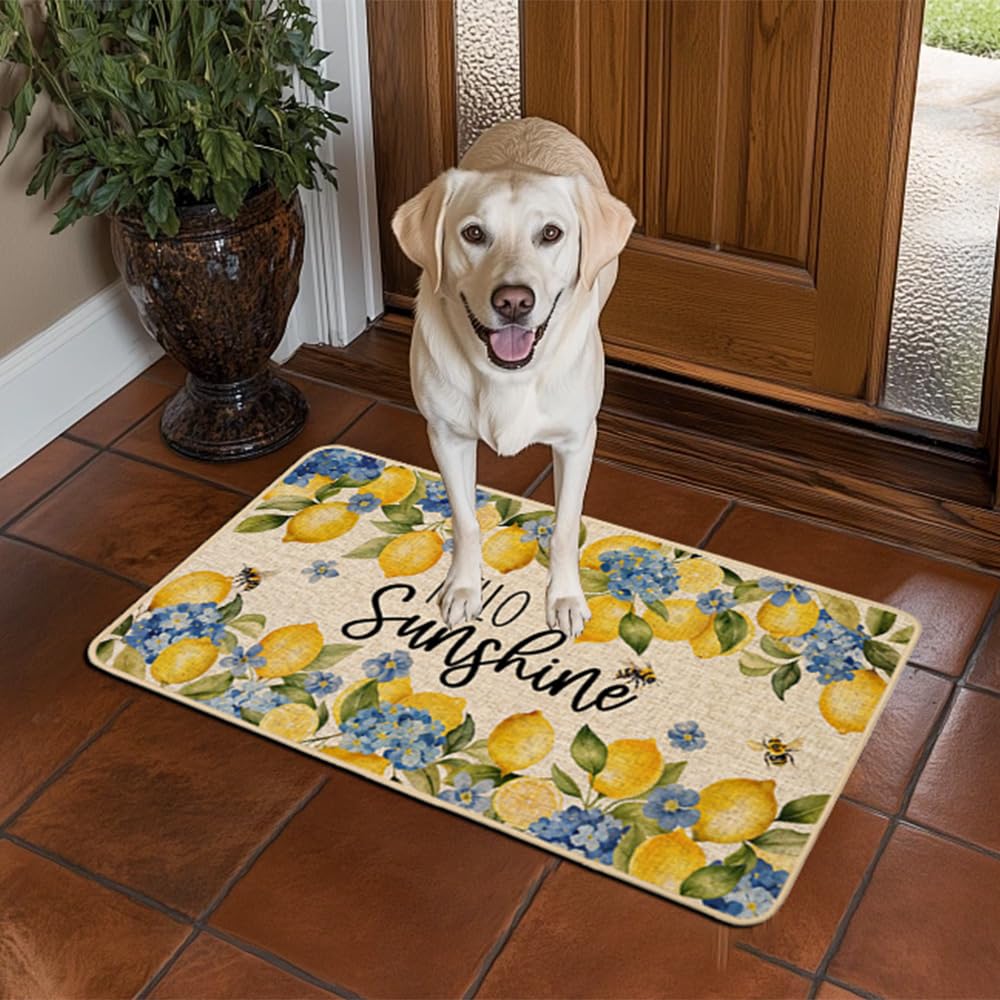 Non-slip rubber backing keeps the doormat in place on any floor.