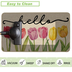 Baccessor Weather-Resistant Doormat withstands rain and snow