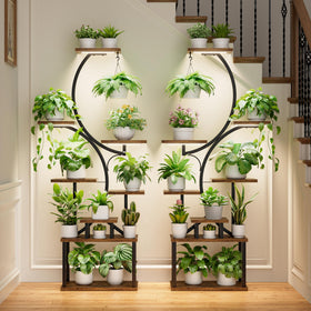 BACEKOLL 62-inch corner plant holder saves vertical space for your plants.