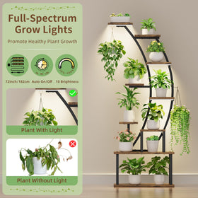 BACEKOLL curved half-moon design adds artistic indoor plant decor