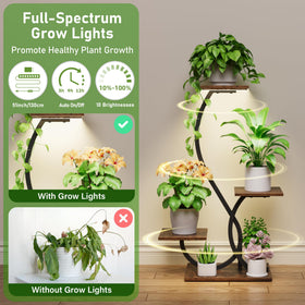 BACEKOLL four-tier shelves maximize small spaces with organized plant arrangements.