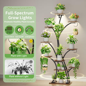 BACEKOLL tree-shaped plant holder creates a center focal point.