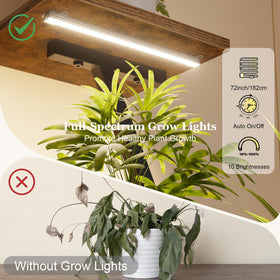 Two-pack corner plant shelves by BACEKOLL help organize plants without floor clutter.