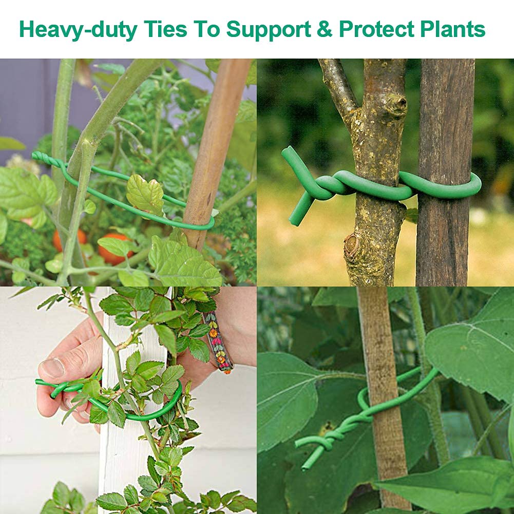 Bacetuao green garden twist tie blending with plants for discreet training.