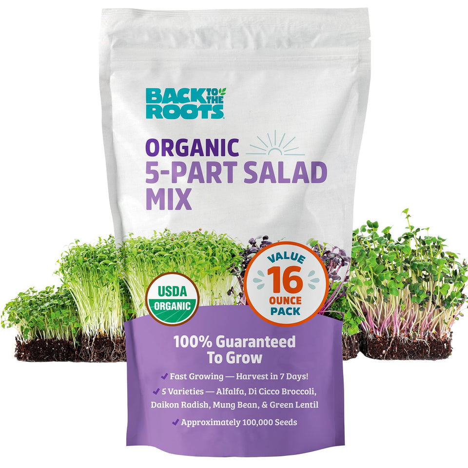 Back to the Roots 5-Part Salad Seeds pack ready for home sprouts and crunch