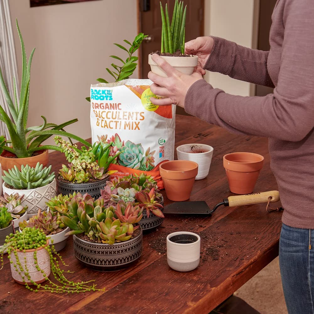 Back to the Roots 6 qt soil for indoor or outdoor use