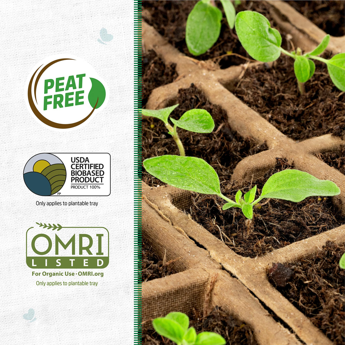 Back to the Roots biodegradable trays ensuring eco-friendly, chemical-free seed starting.