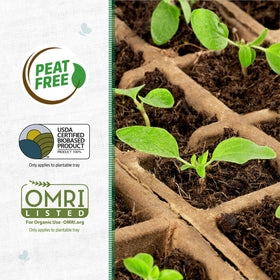 Back to the Roots biodegradable trays ensuring eco-friendly, chemical-free seed starting.