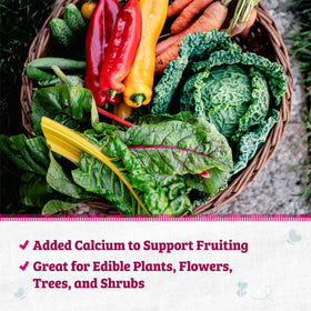 Back to the Roots Blood Meal promotes flower blooming for colorful garden beds.