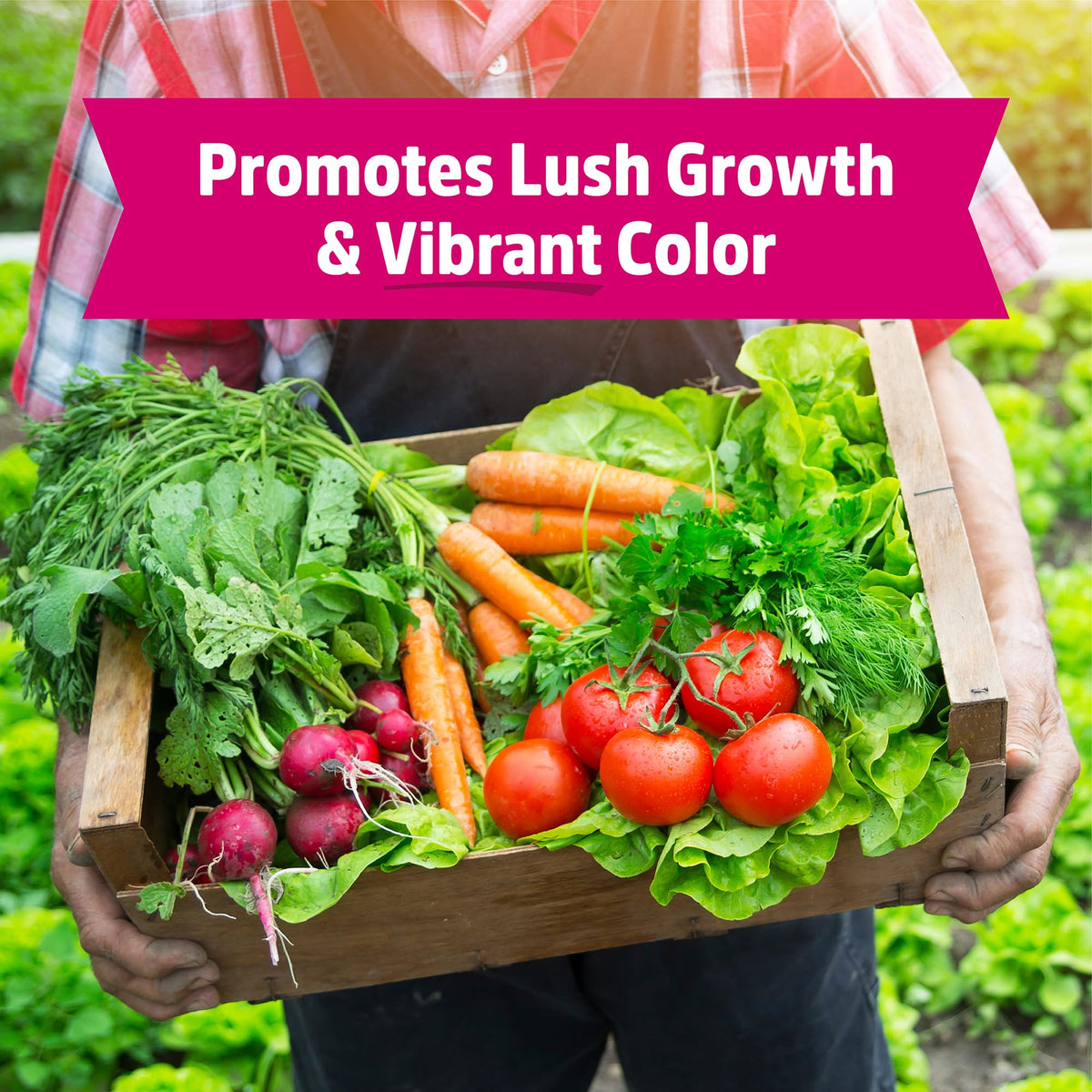 Back to the Roots Blood Meal helps yellowing leaves recover with nutrient boost.