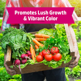 Back to the Roots Blood Meal helps yellowing leaves recover with nutrient boost.