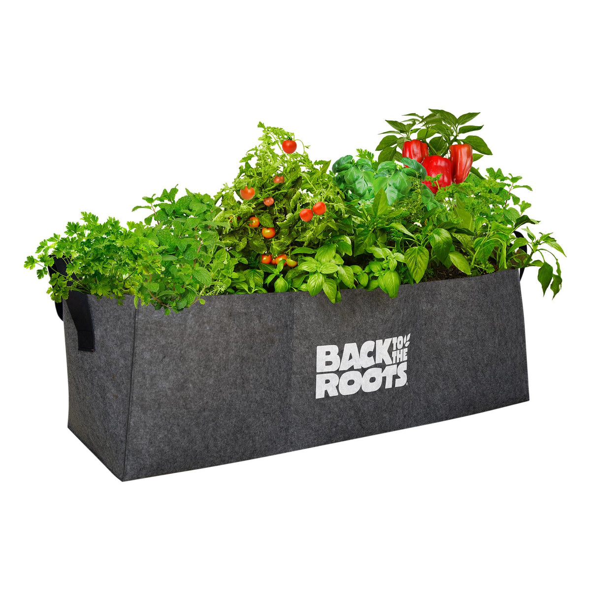 Back to the Roots breathable bed highlighting oxygen to roots for better growth