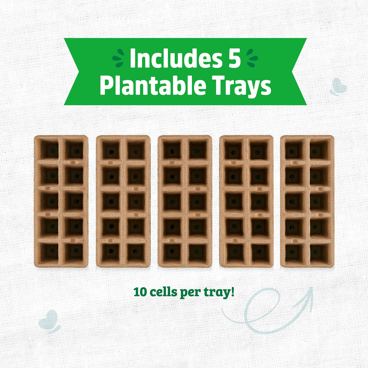 Back to the Roots chemical-free trays support strong roots and healthy seedling growth.