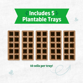 Back to the Roots chemical-free trays support strong roots and healthy seedling growth.