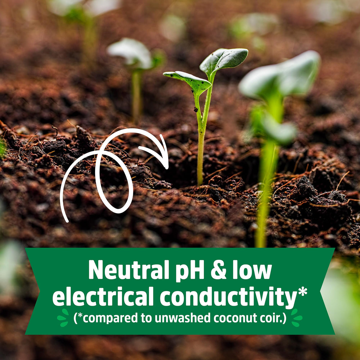Back to the Roots coir brick keeps soil tidy and mess-free.