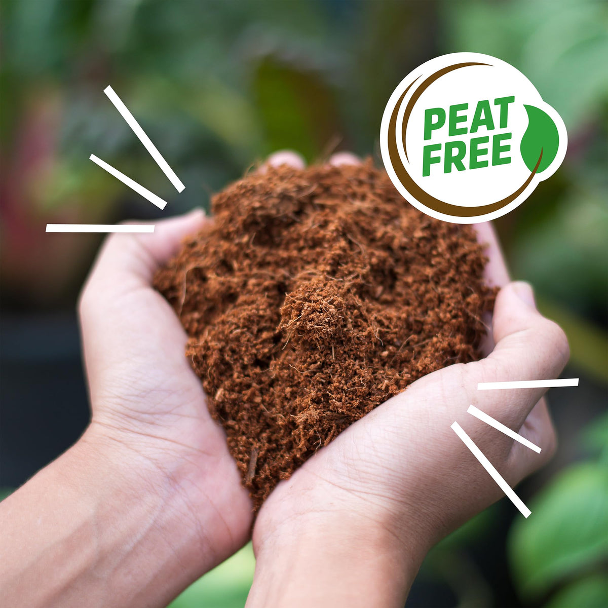 Back to the Roots coir supports Grow One Give One with classroom donations.