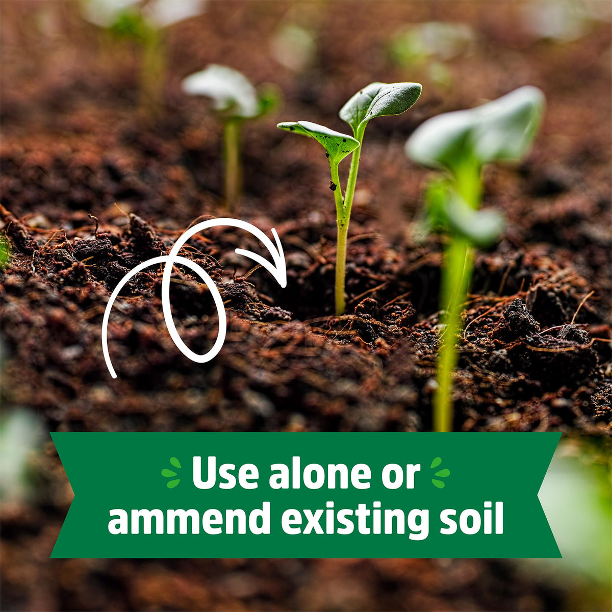 Back to the Roots coir seed-starting medium supports healthy root growth.