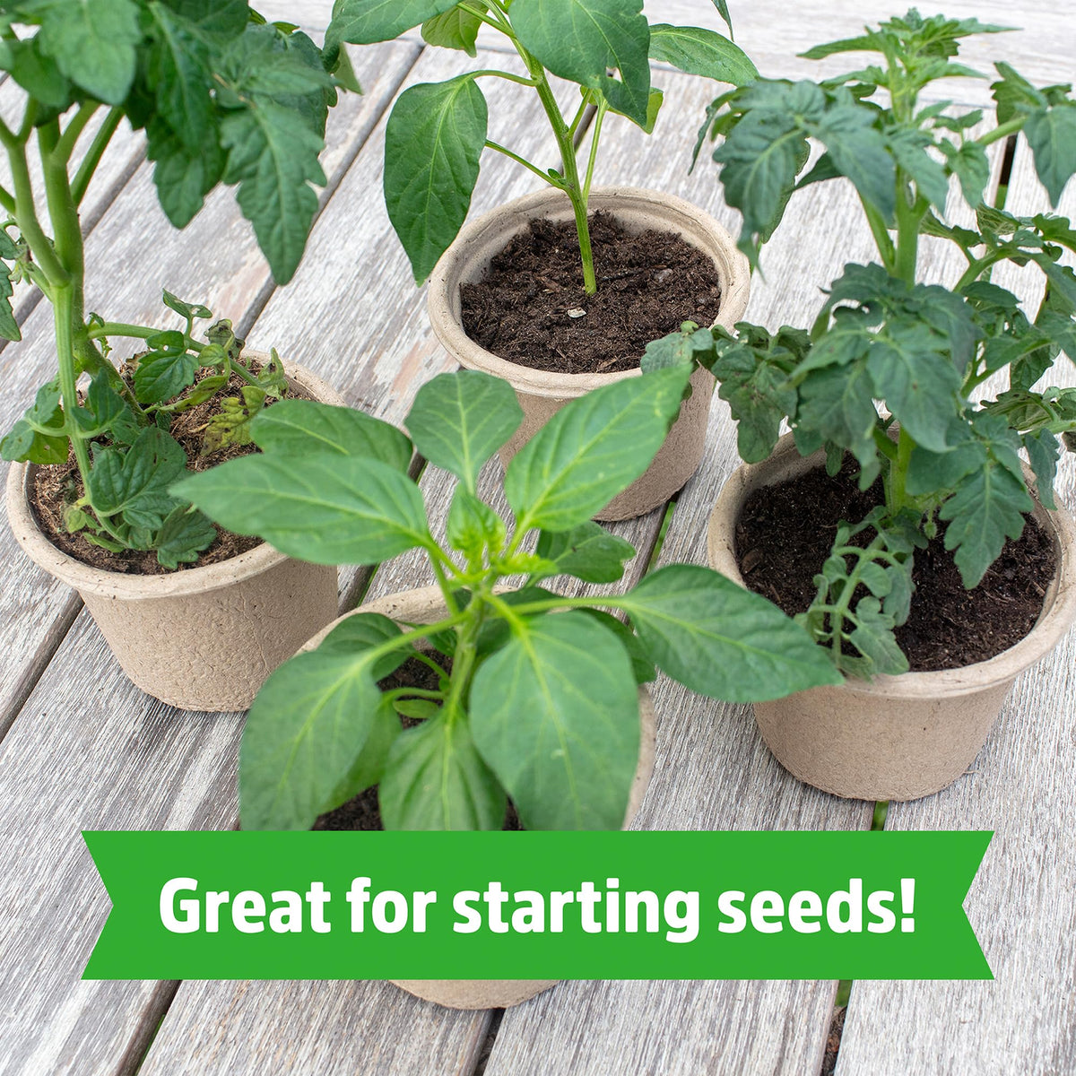 Back to the Roots coir stores compactly and rehydrates quickly for projects.